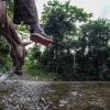 Ang Salto La Jalda (Hiking and Swimming) ay umiinom ng tubig mula sa isang ilog.